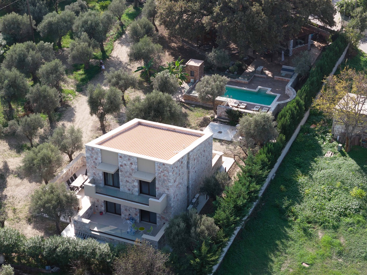 Private pool with sunbeds and the old oak tree