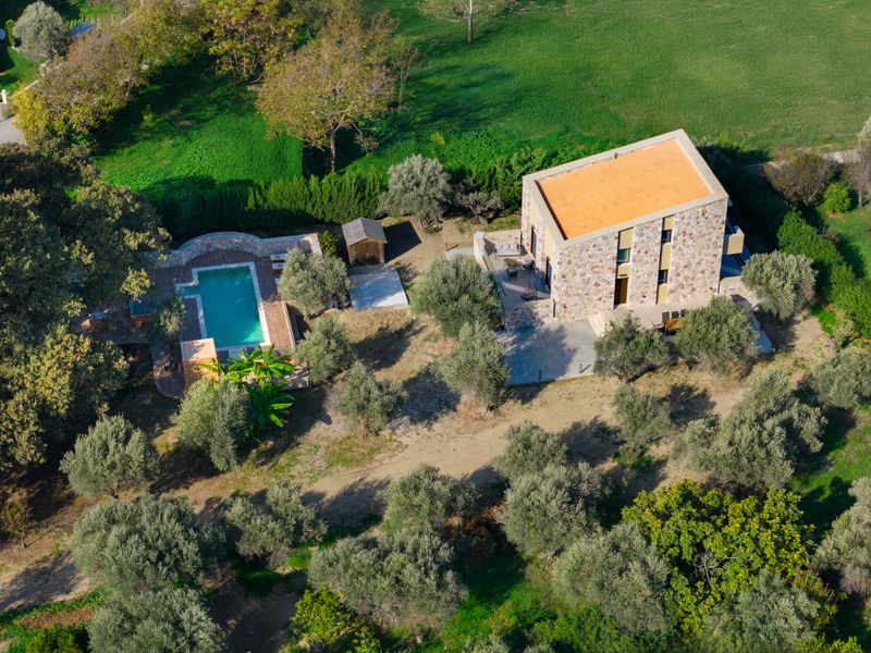 Aerial view of Villa Irianna surrounded by olive trees in Ialysos, Rhodes